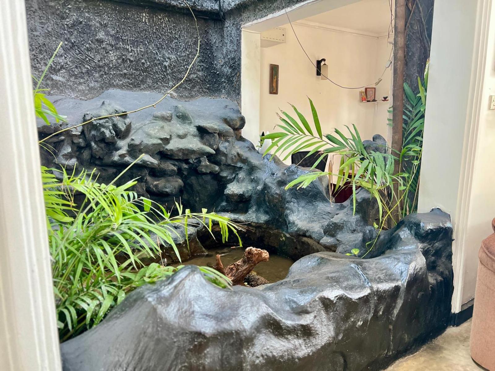 Sky Beam Hotel Kandy Ngoại thất bức ảnh